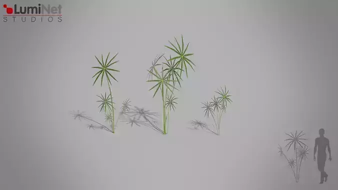 Water Palm Jungle foliage 17 of 18 Low-poly 3D model Low-poly 3D model