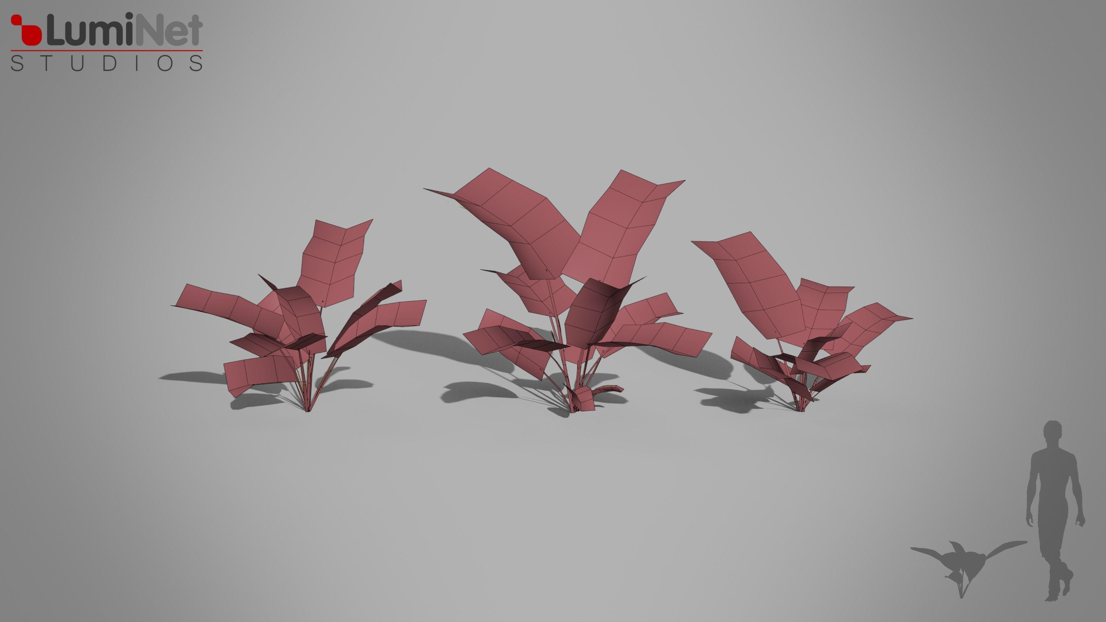 Zebra Plant Jungle foliage 18 of 18 Low-poly 3D model Low-poly 3D model_1