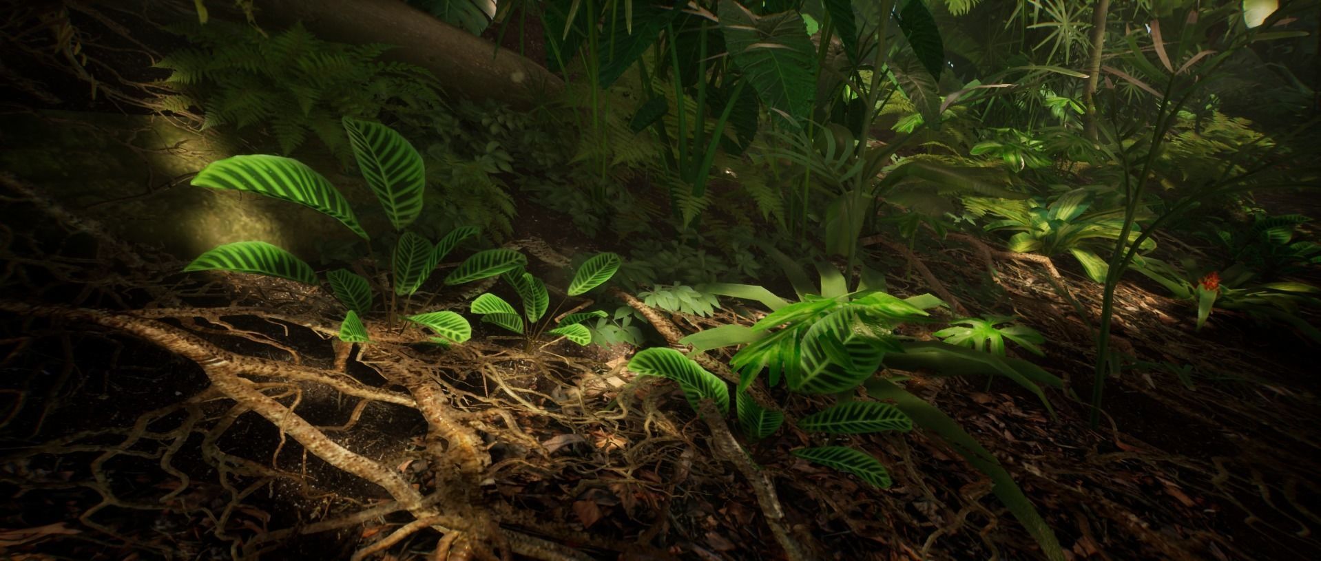 Zebra Plant Jungle foliage 18 of 18 Low-poly 3D model Low-poly 3D model_3