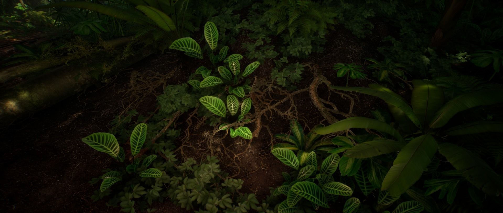 Zebra Plant Jungle foliage 18 of 18 Low-poly 3D model Low-poly 3D model_2