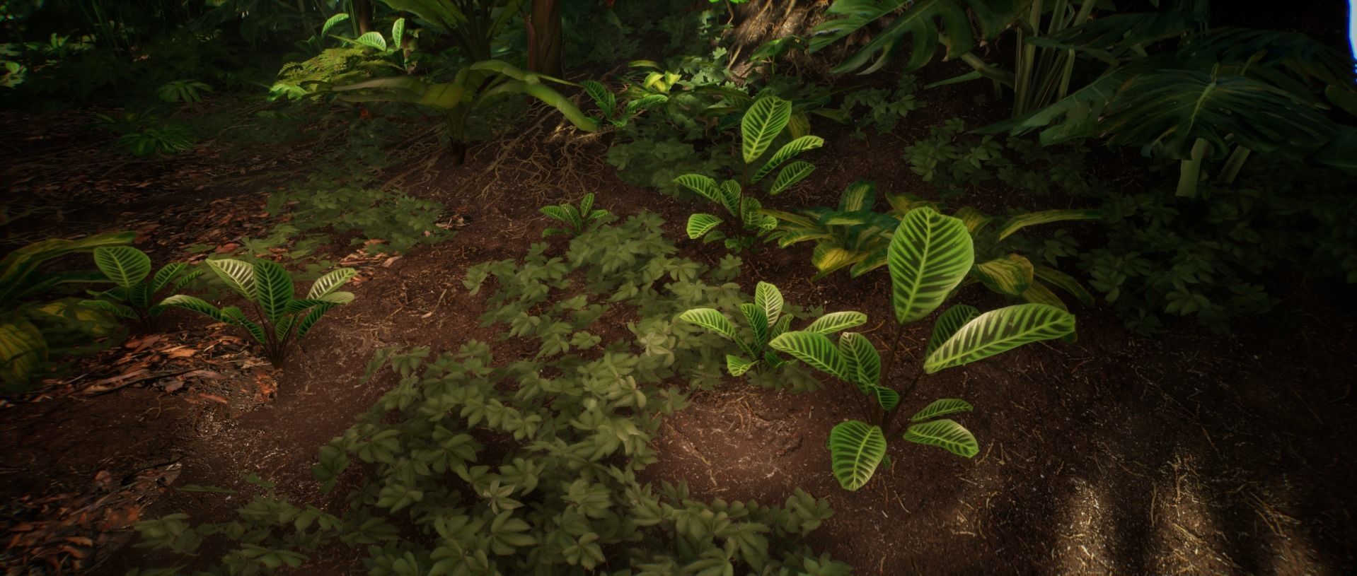 Zebra Plant Jungle foliage 18 of 18 Low-poly 3D model Low-poly 3D model_5