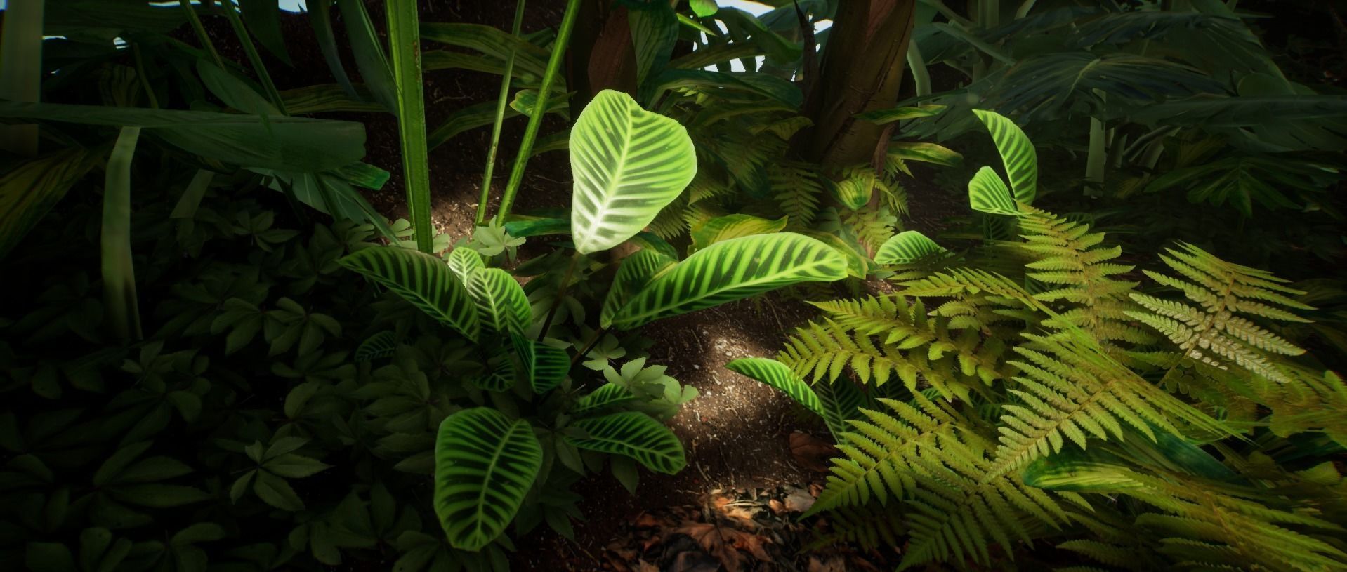 Zebra Plant Jungle foliage 18 of 18 Low-poly 3D model Low-poly 3D model_4