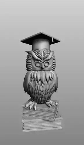 Owl teacher 3d print model