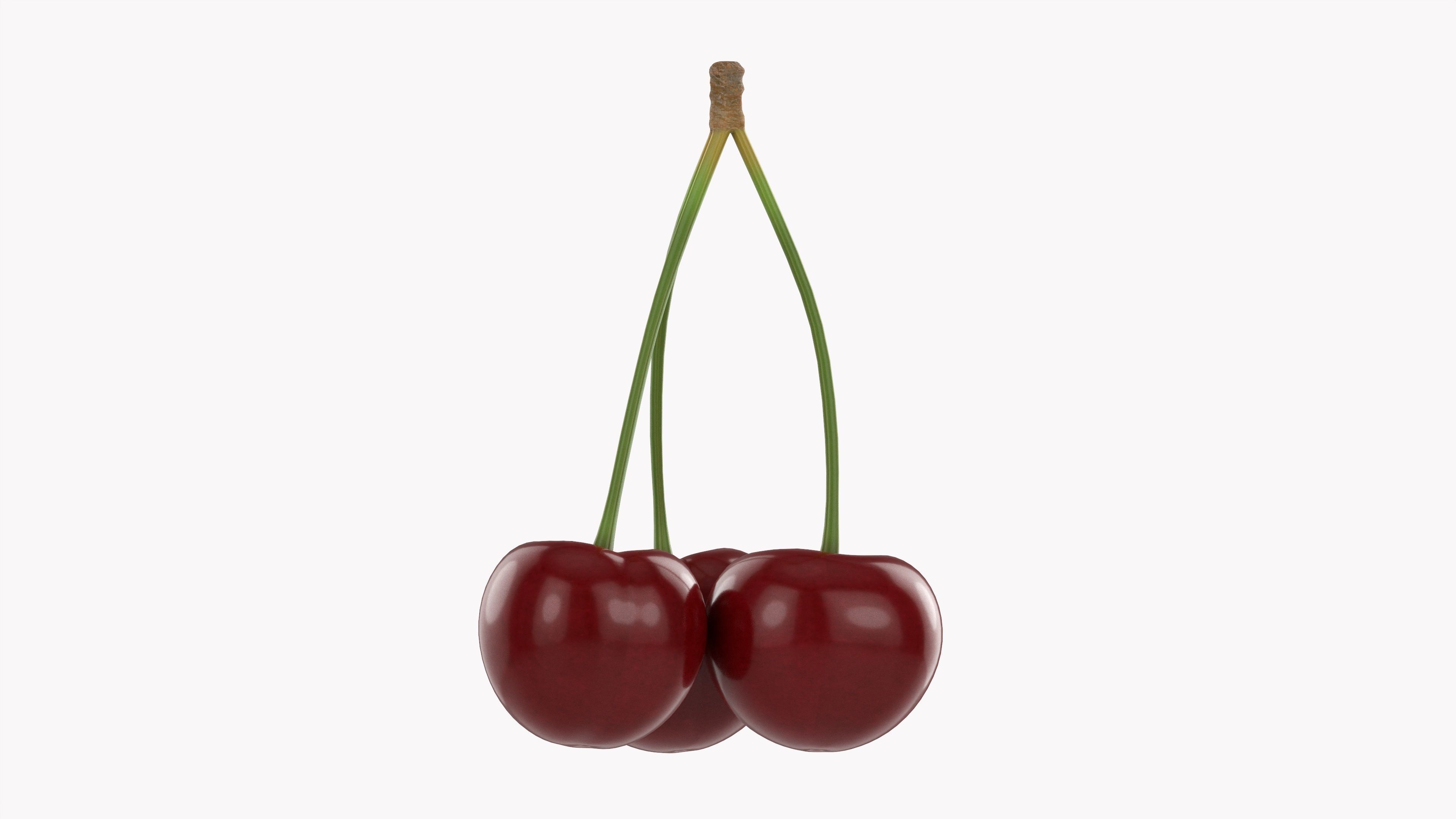 Cherry triple 3D model_4