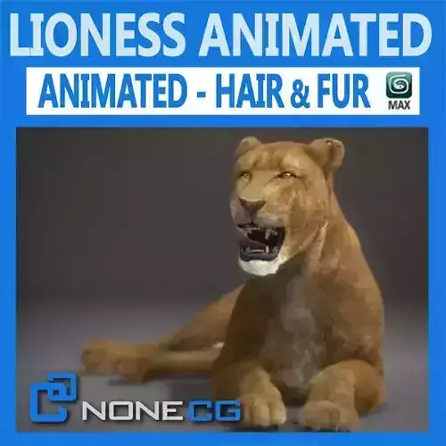 Animated Lioness 3D model