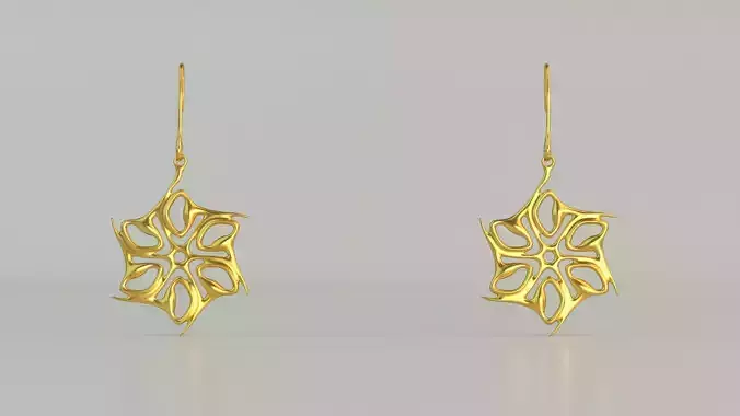 Hanging Ear Rings 45