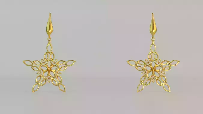 Hanging Ear Rings 46