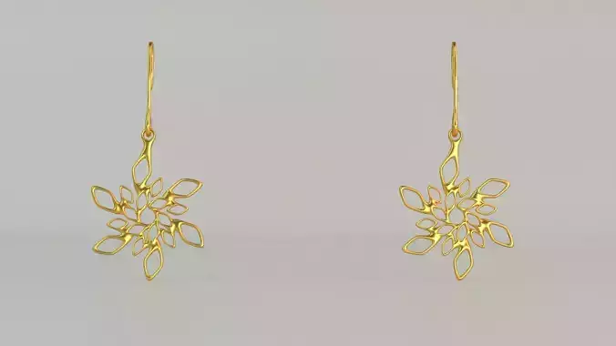 Hanging Ear Rings 50