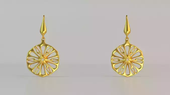 Hanging Ear Rings 52