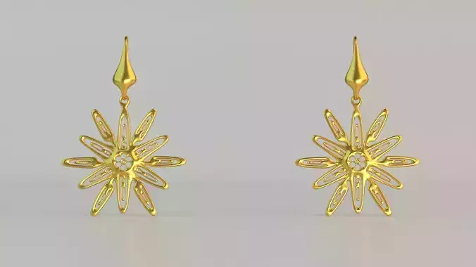 Hanging Ear Rings 53