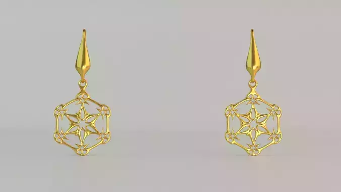 Hanging Ear Rings 55