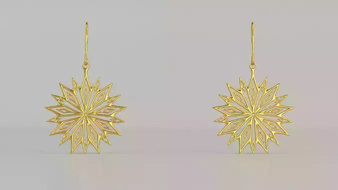 Hanging Ear Rings 60