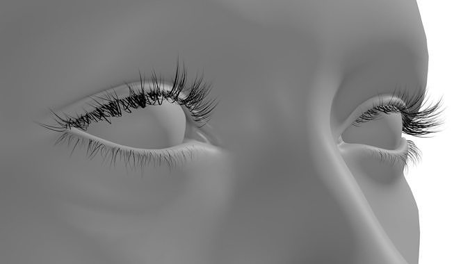 Eyelashes curly Low-poly 3D model