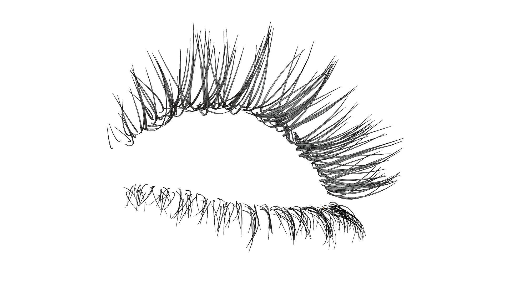 Eyelashes curly Low-poly 3D model_5
