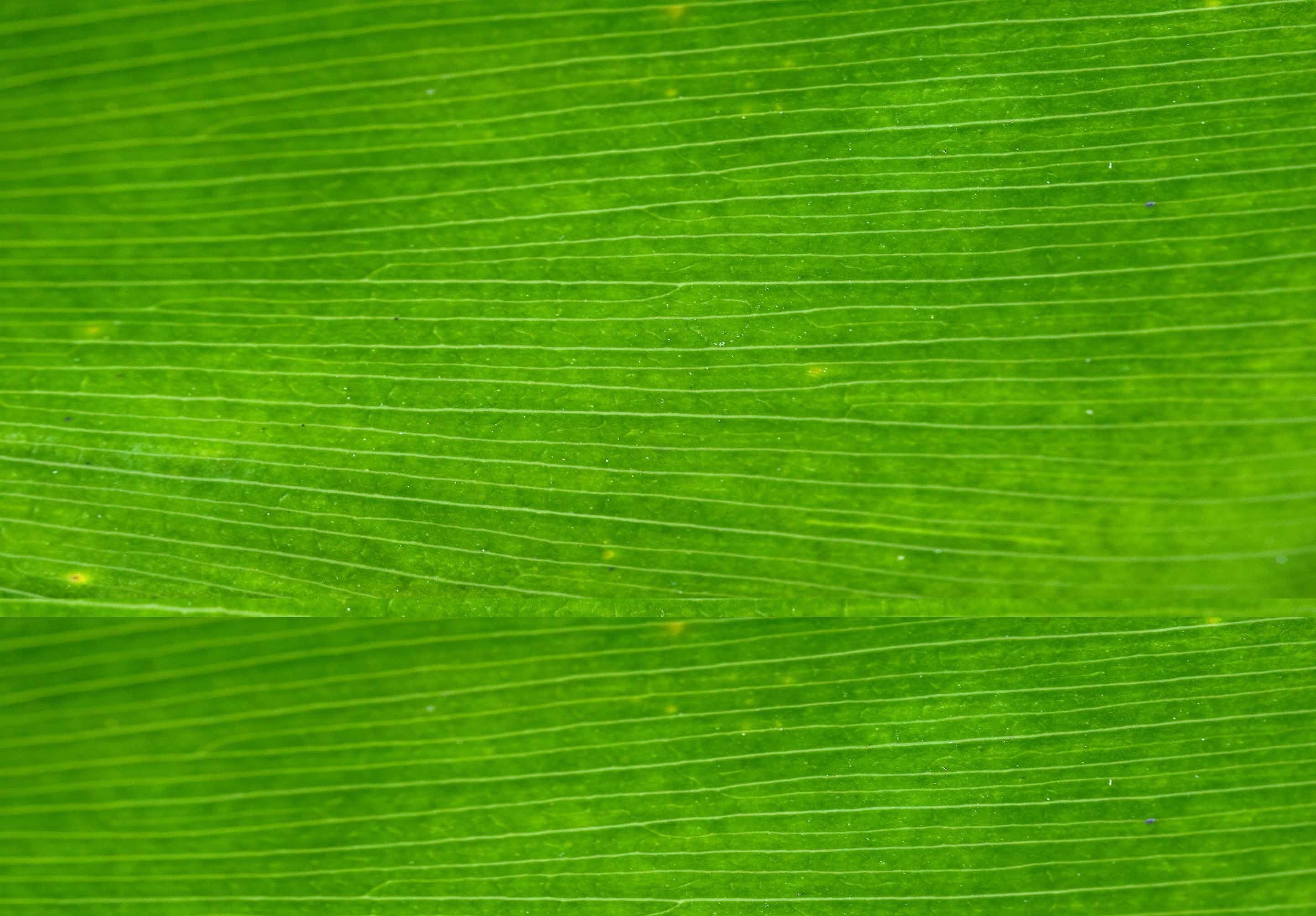 Frigate Ship And Megalodon Sharks Kitbash 3D model_5