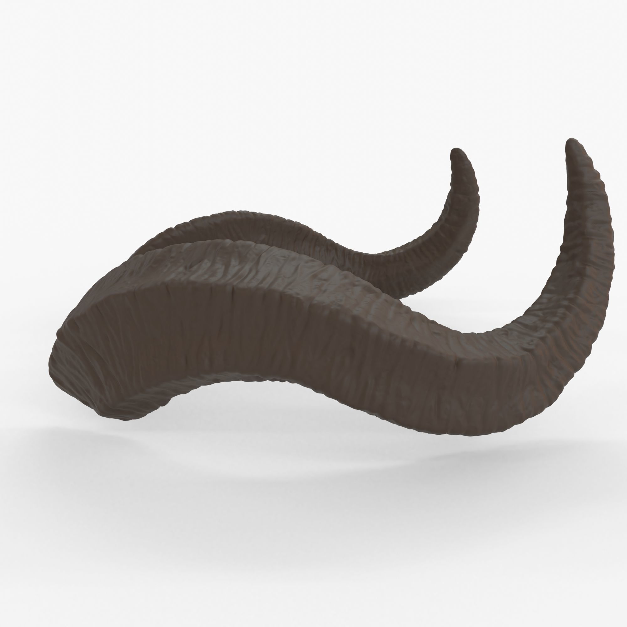 Large Wavy Horns - Kolsun 3D print model_4
