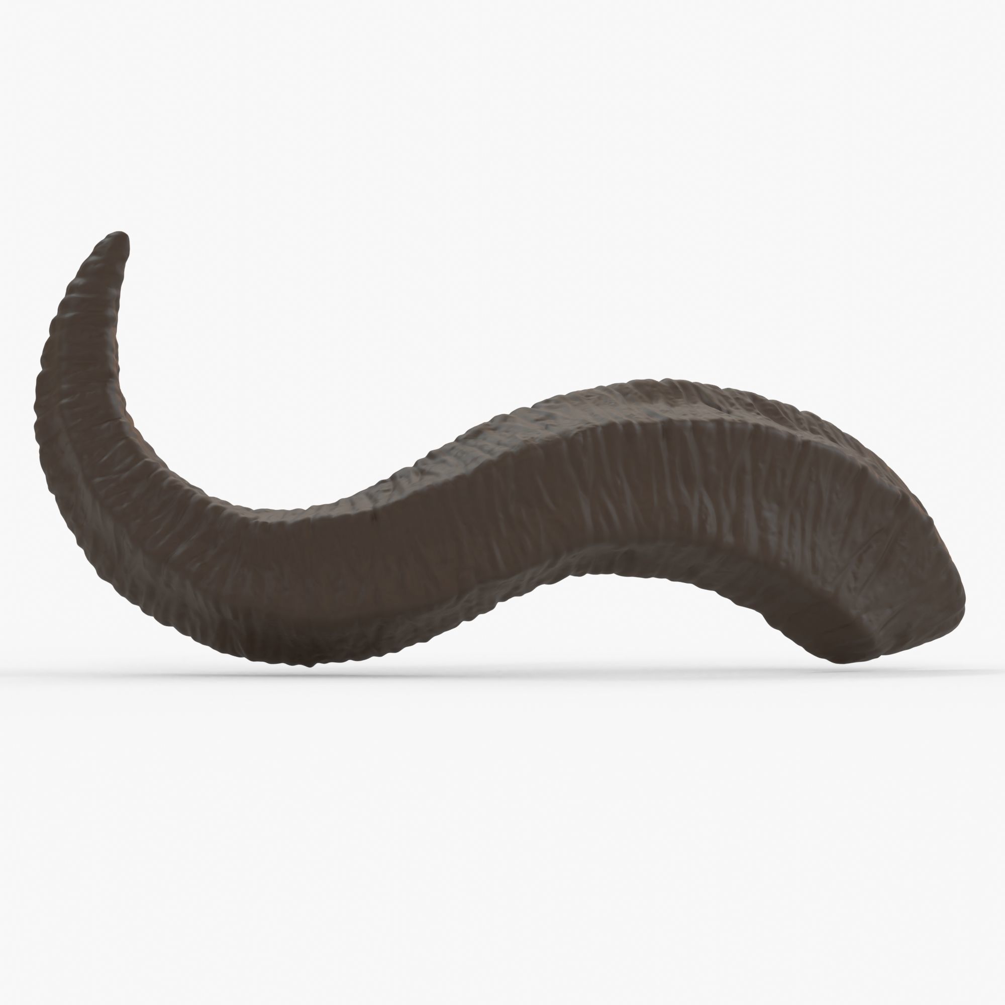 Large Wavy Horns - Kolsun 3D print model_6