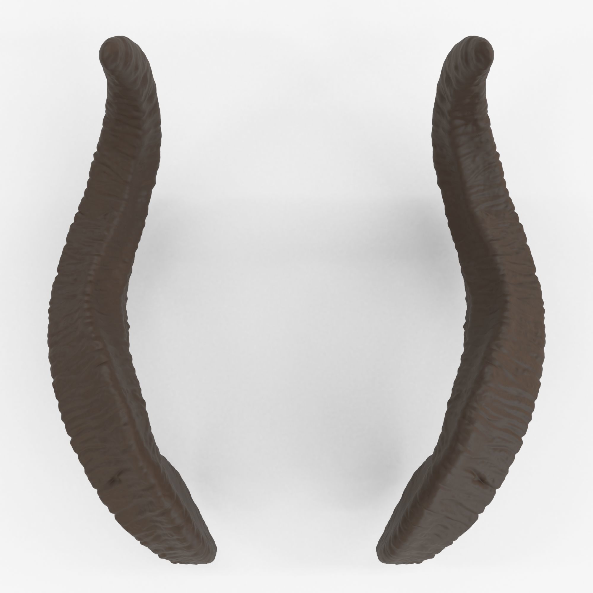 Large Wavy Horns - Kolsun 3D print model_5