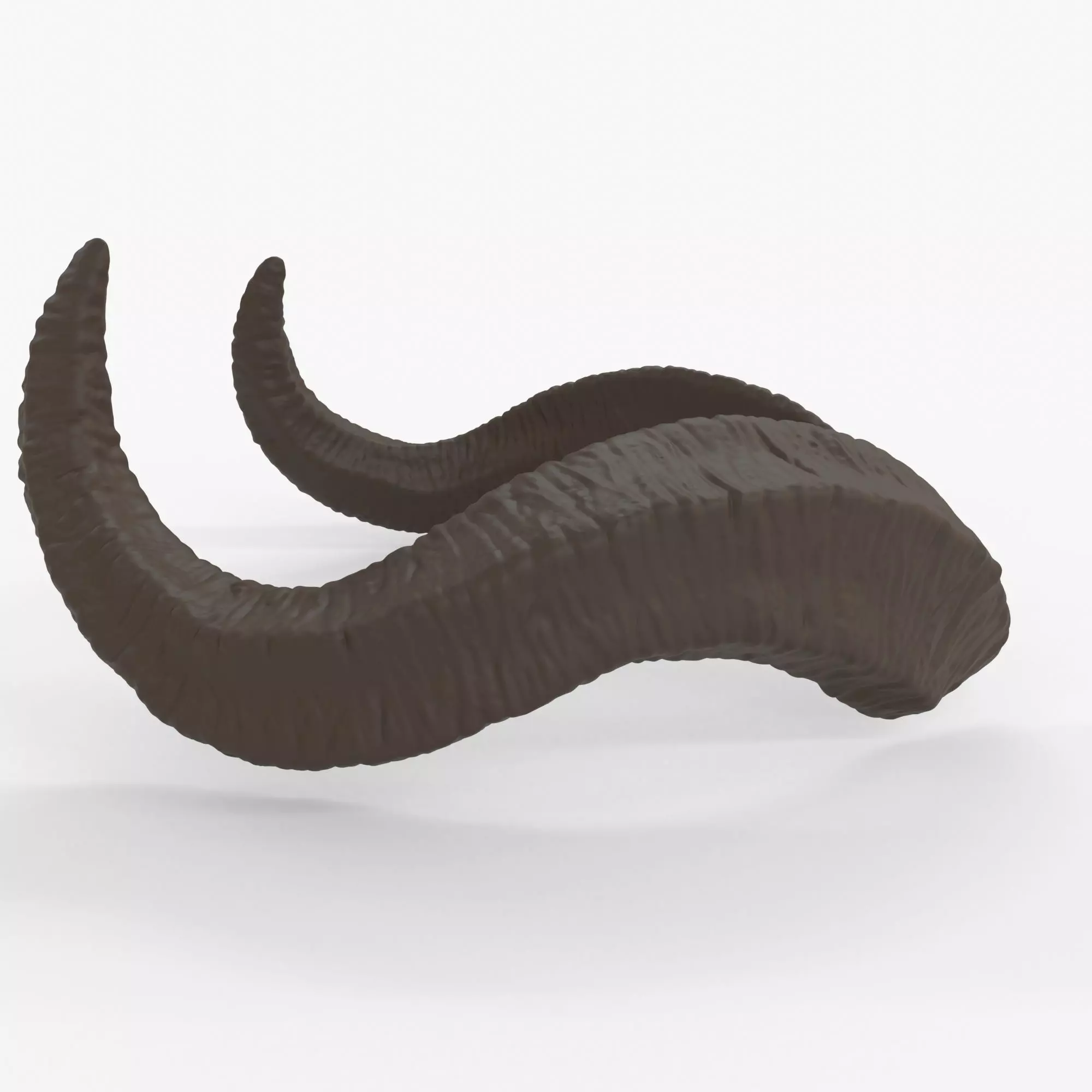 Large Wavy Horns - Kolsun 3D print model_0