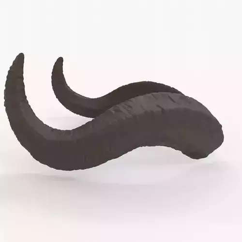 Large Wavy Horns - Kolsun 3D print model