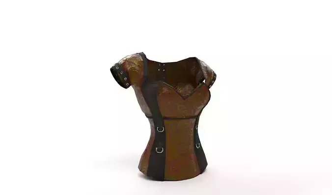 Corset steampunk dress