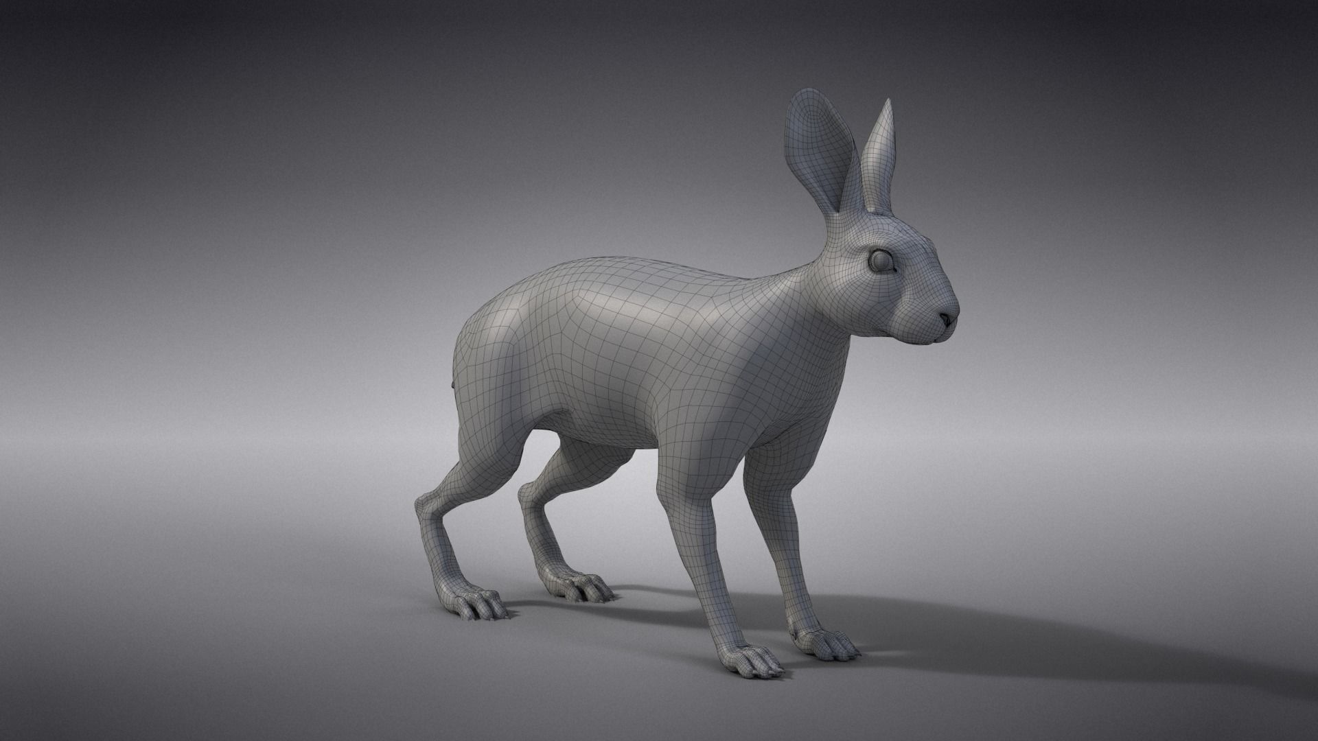 Snowshoe Rabbit Animated VFX Grace 3D model_17