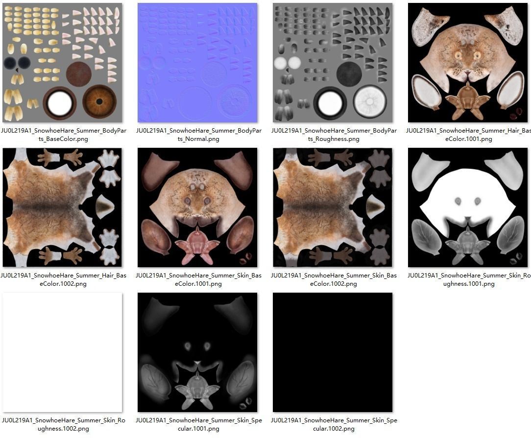 Snowshoe Rabbit Animated VFX Grace 3D model_14