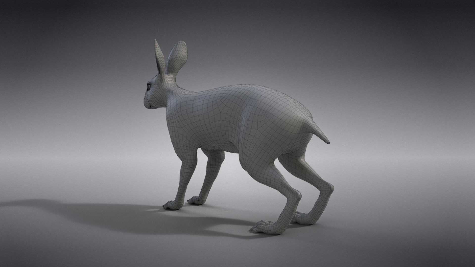 Snowshoe Rabbit Animated VFX Grace 3D model_19