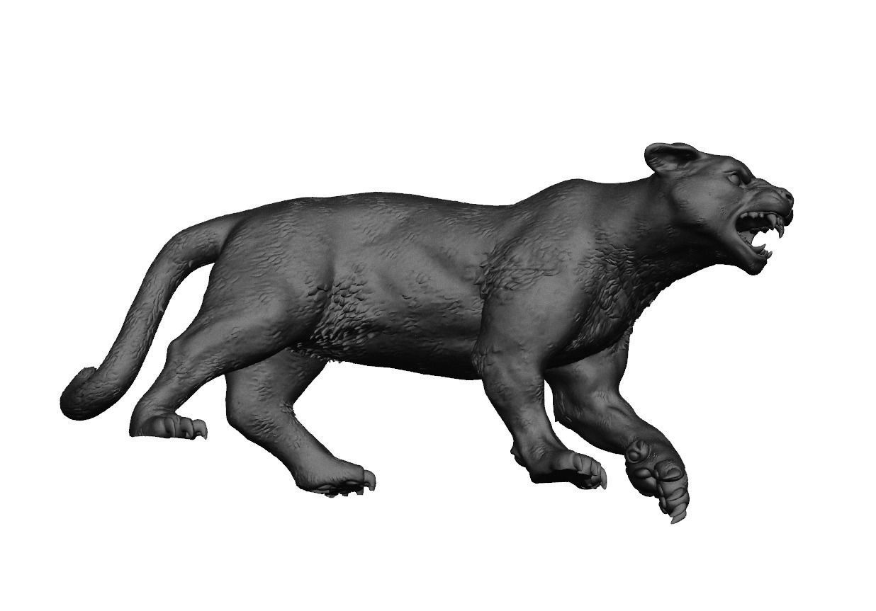 Black Panther 3D print model for 3D Printing 3D print model_5