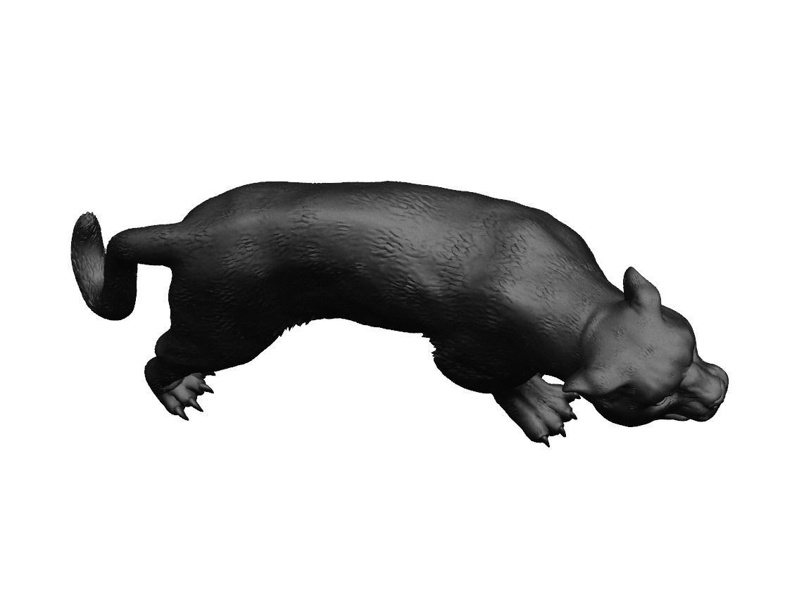 Black Panther 3D print model for 3D Printing 3D print model_4