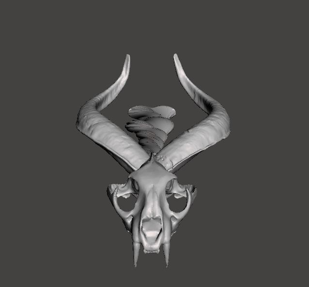 Dragon Back Scratcher Free 3D print model_4