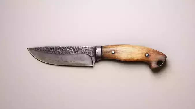 Hunting Knife