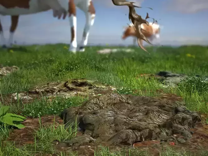 Cow manure set Low-poly 3D model