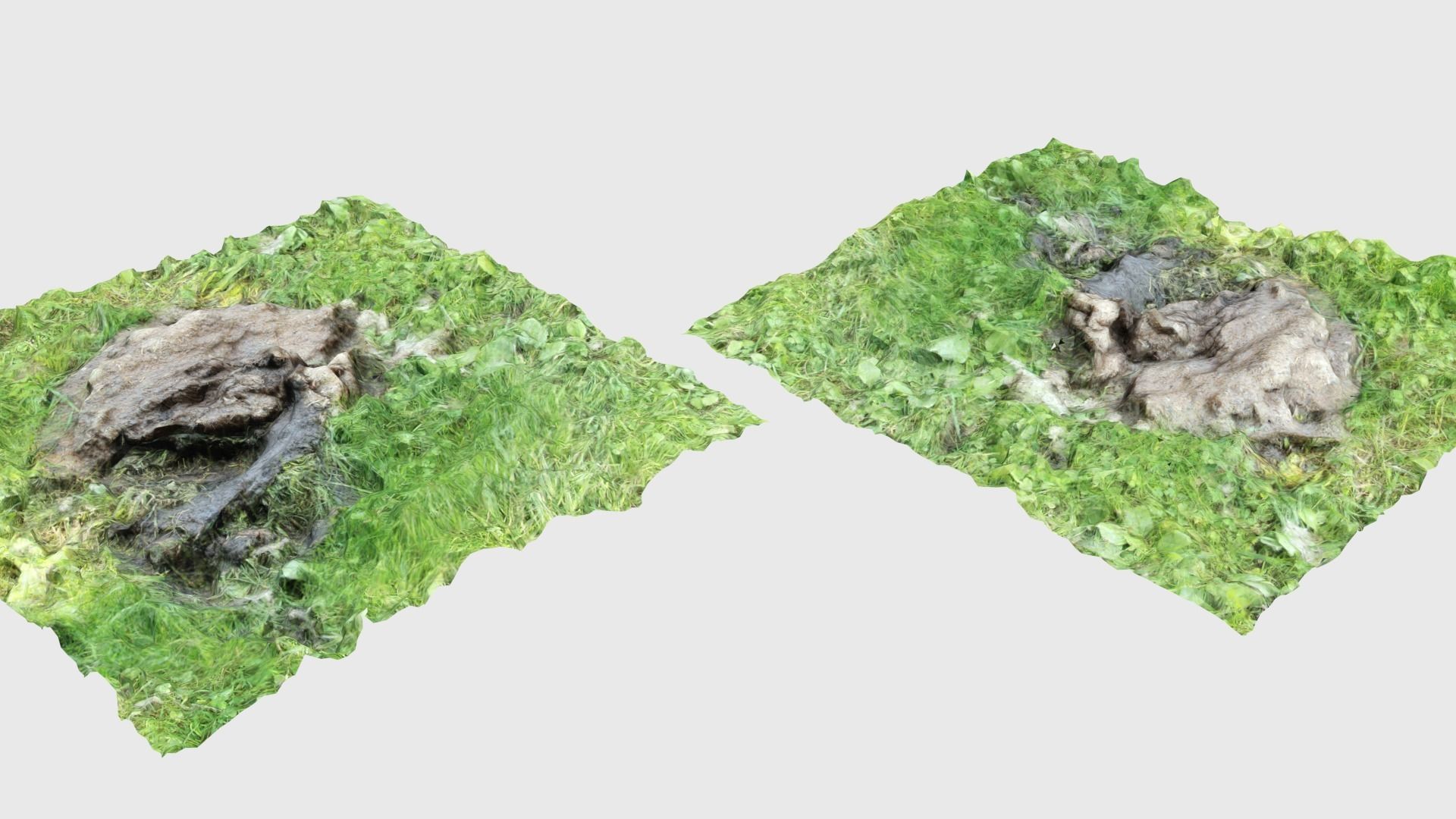 Cow manure set Low-poly 3D model_7