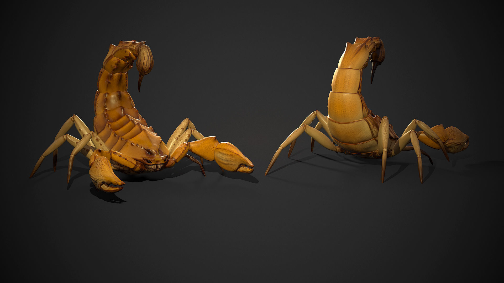 Fantasy scorpion - Game Ready Low-poly 3D model Low-poly 3D model_2