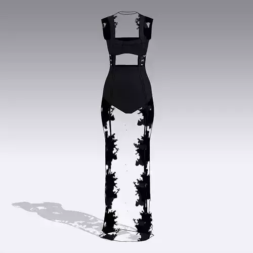 LACE BLACK DRESS TRANSPARENT LONG DRESS LOOK