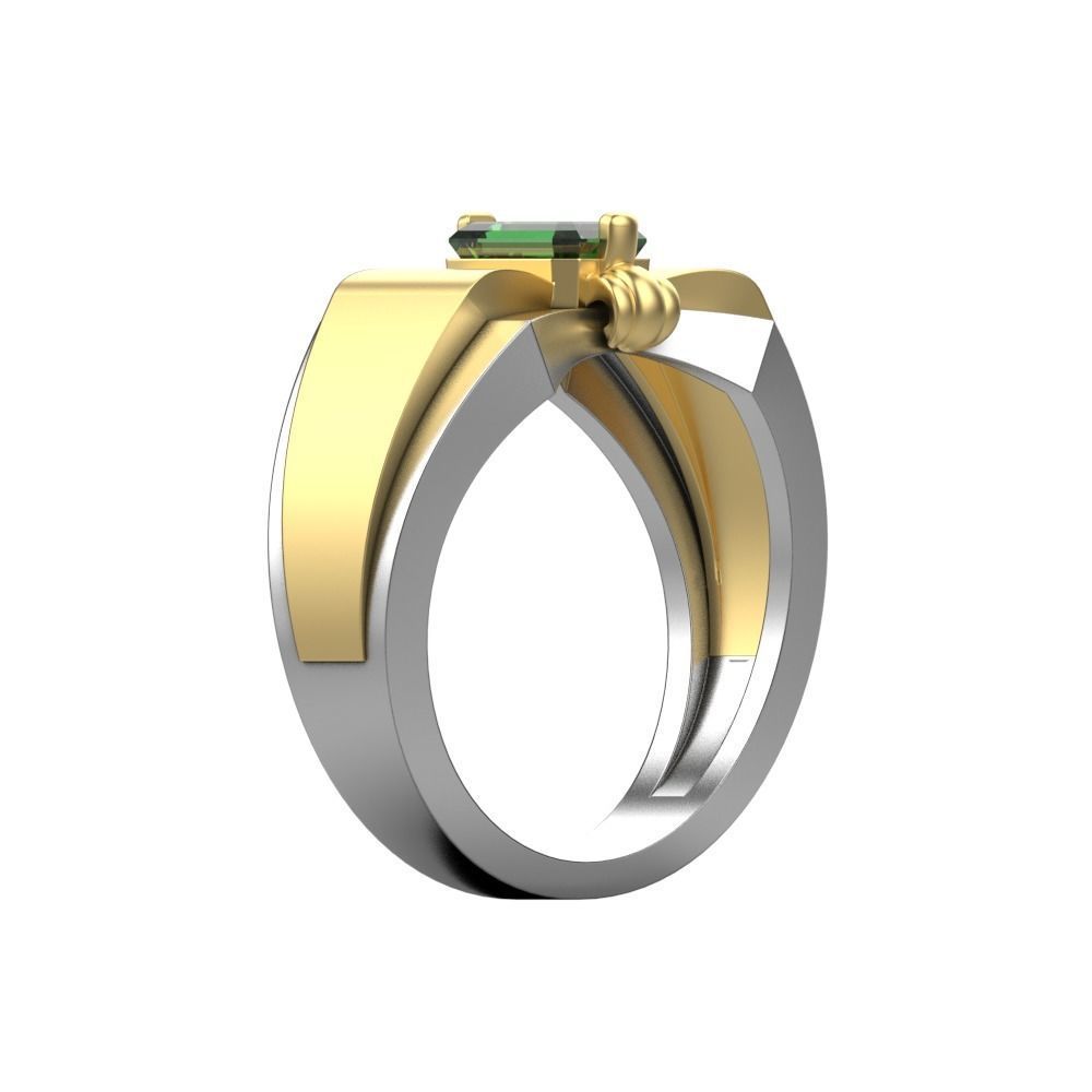 Ring MR 05 3D print model_8