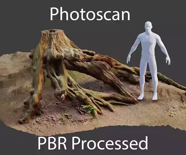 PBR Stump Tree Roots Big Forest