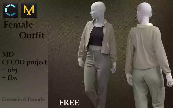 Female Outfit Free 3D model