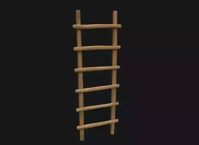 Old Wooden Ladder 