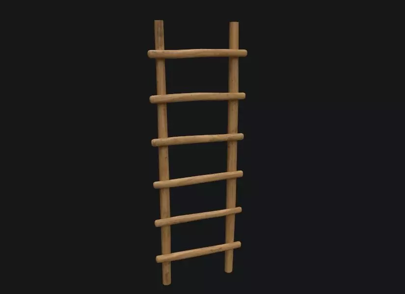 Old Wooden Ladder  Low-poly 3D model_0