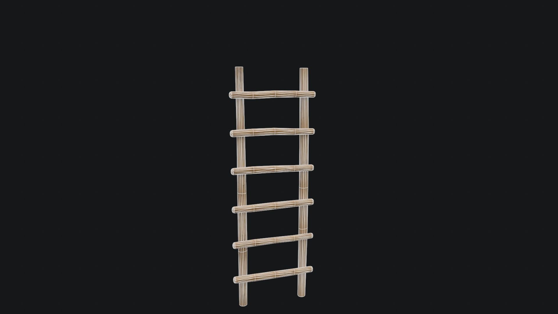 Old Wooden Ladder  Low-poly 3D model_13