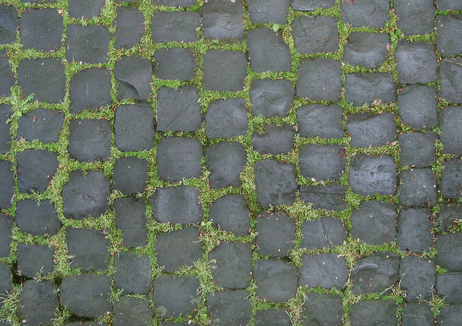 defwffwf cobblestones with moss 3D model
