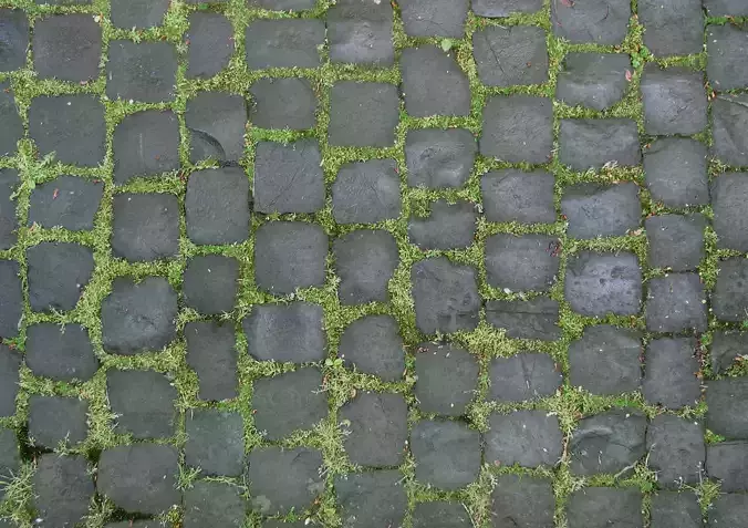 defwffwf cobblestones with moss