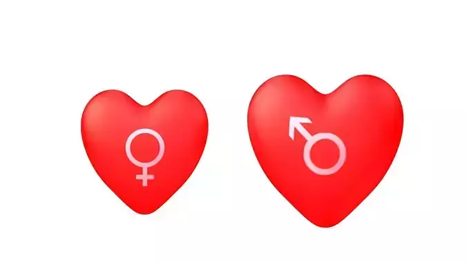 Heart model for lovers with he and she textures