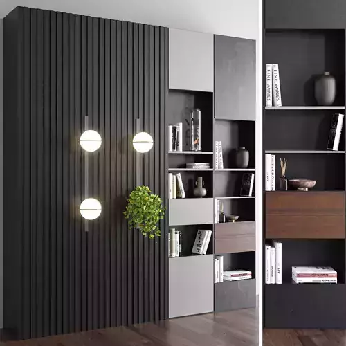 hallway002 bookcase with two bookshelves and plant