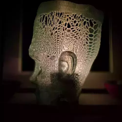 Halloween Frankestein Lantern 