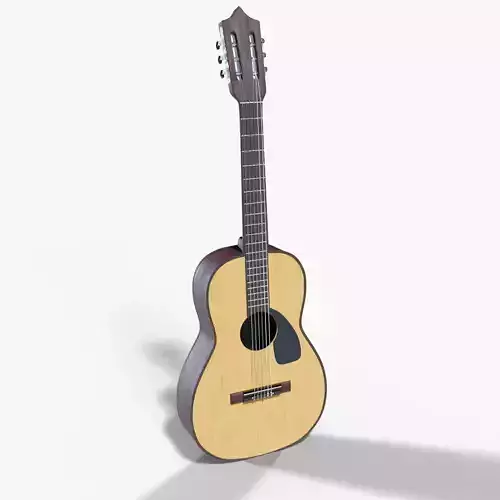 Acoustic Guitar