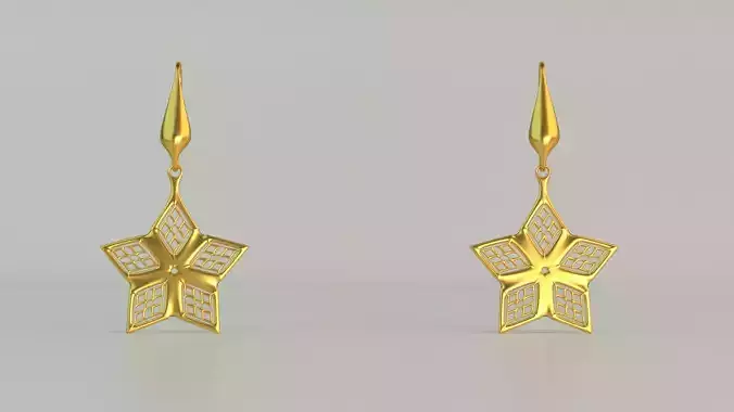 Hanging Ear Rings 62