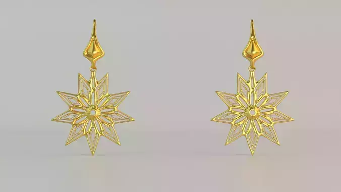 Hanging Ear Rings 64